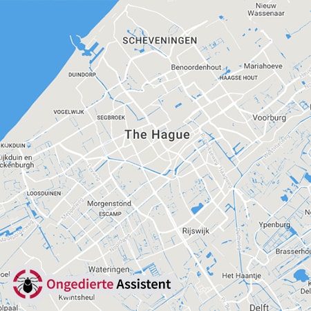 ongediertebestrijding Den Haag